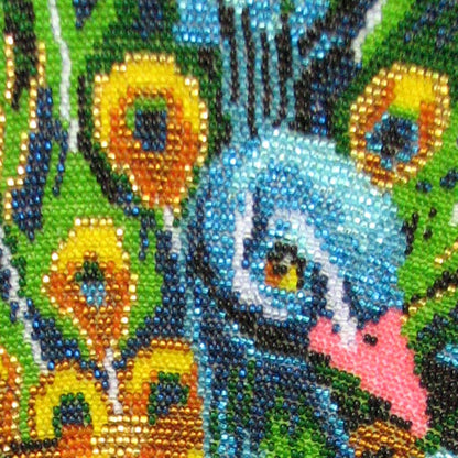 Bead embroidery kit Peacocks DIY