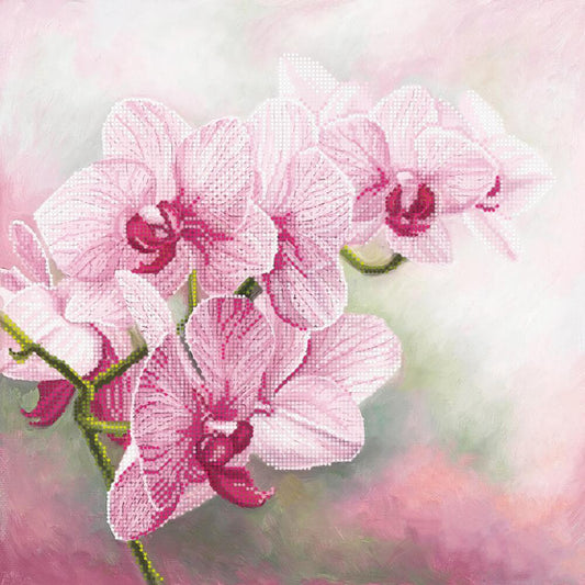Bead Embroidery Kit Orchids Flowers DIY Tela Artis