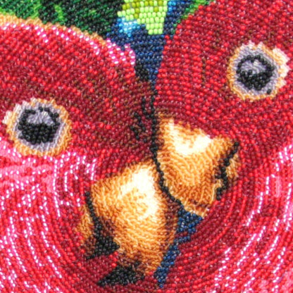 Bead embroidery kit Parrots DIY