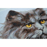 Counted Cross Stitch Kit Cat DIY Unprinted canvas