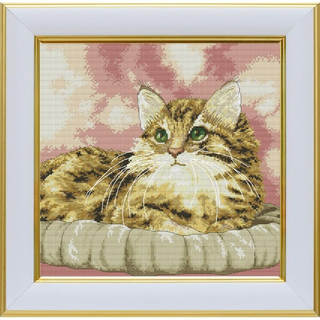 Counted Cross Stitch Kit Cat DIY VDV