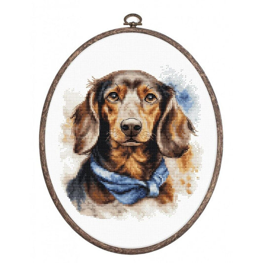 Counted Cross Stitch Kit Dachshund Dog Luca-S DIY Unprinted canvas
