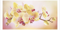 Bead Embroidery Kit Orchid Flowers DIY Bead needlepoint Bead stitching