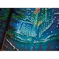 Bead Embroidery Kit Under the stars Beaded stitching Bead needlepoint Beadwork