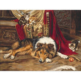 Gobelin kit Tapestry embroidery Kit Dog Luca-S DIY Unprinted canvas