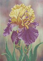 Bead Embroidery Kit Iris Flower DIY Beaded needlepoint Beaded stitching