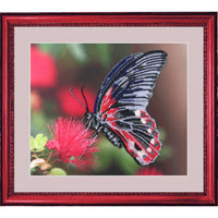 Bead Embroidery Kit Butterfly DIY Bead needlepoint Beadwork