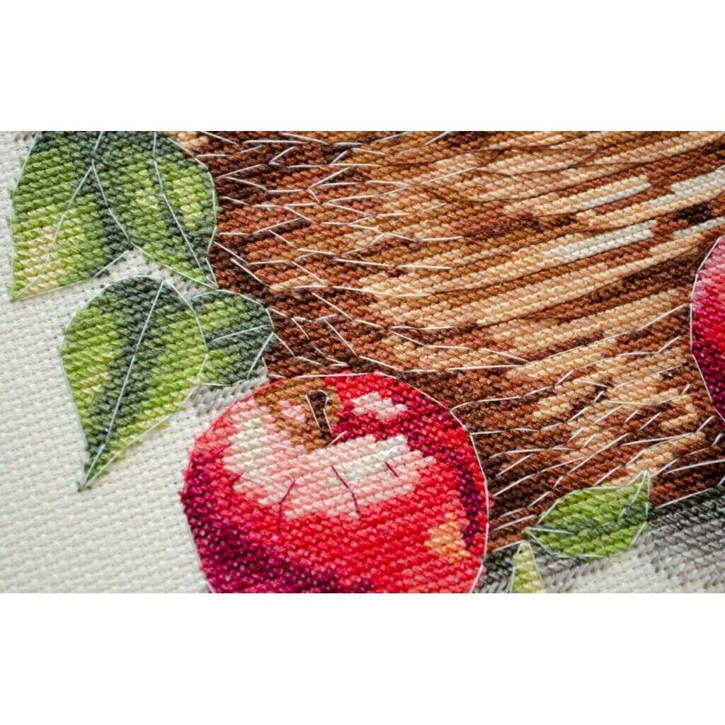 Counted Cross Stitch Kit Apples DIY Unprinted canvas