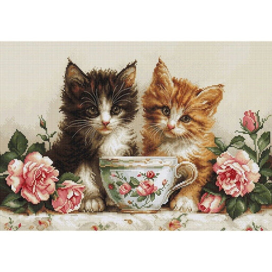 Counted Cross Stitch Kit Cats Luca-S DIY Unprinted canvas