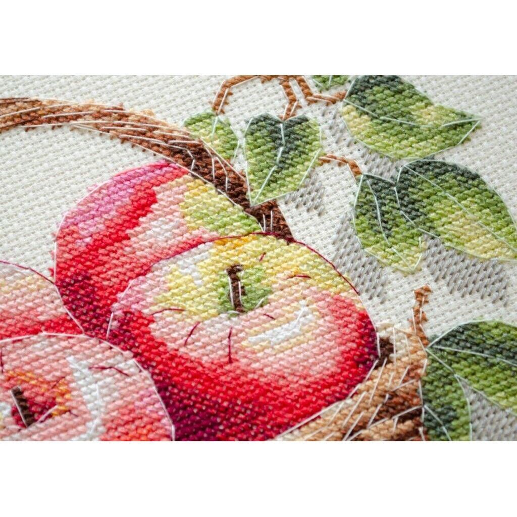 Counted Cross Stitch Kit Apples DIY Unprinted canvas