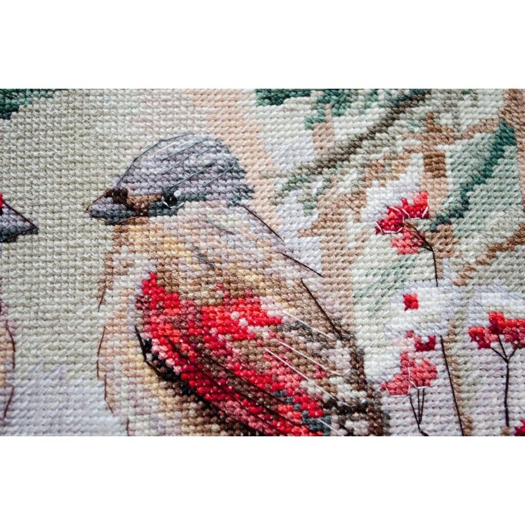 Counted Cross Stitch Kit Winter birds DIY Unprinted canvas