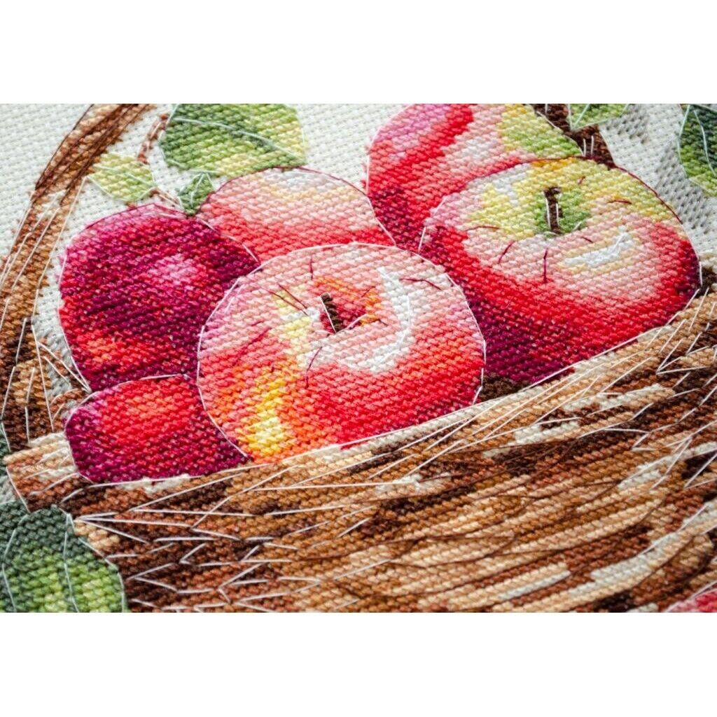 Counted Cross Stitch Kit Apples DIY Unprinted canvas