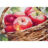 Counted Cross Stitch Kit Apples DIY Unprinted canvas