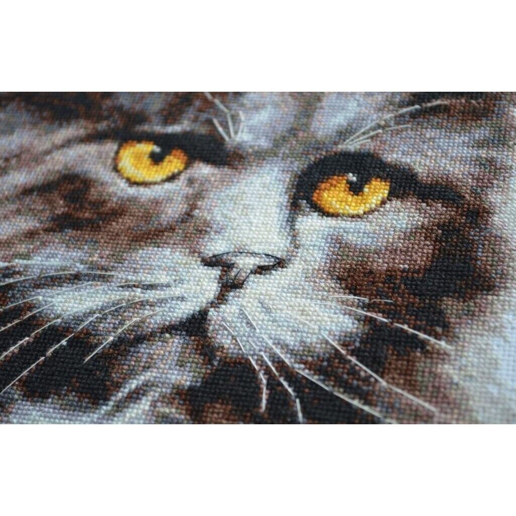 Counted Cross Stitch Kit Cat DIY Unprinted canvas