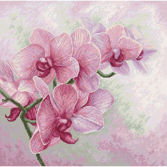 Counted Cross Stitch Kit Orchids Flowers DIY Luca-S