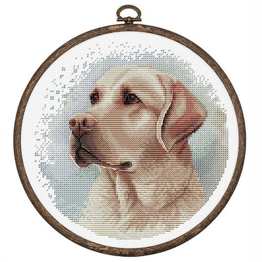 Counted Cross Stitch Kit Labrador Dog Luca-S DIY Unprinted canvas
