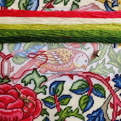 Tapestry Pillow Cover DIY kit "The magic bird" Needlepoint kit Printed canvas