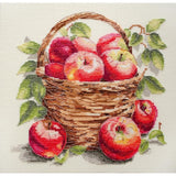 Counted Cross Stitch Kit Apples DIY Unprinted canvas