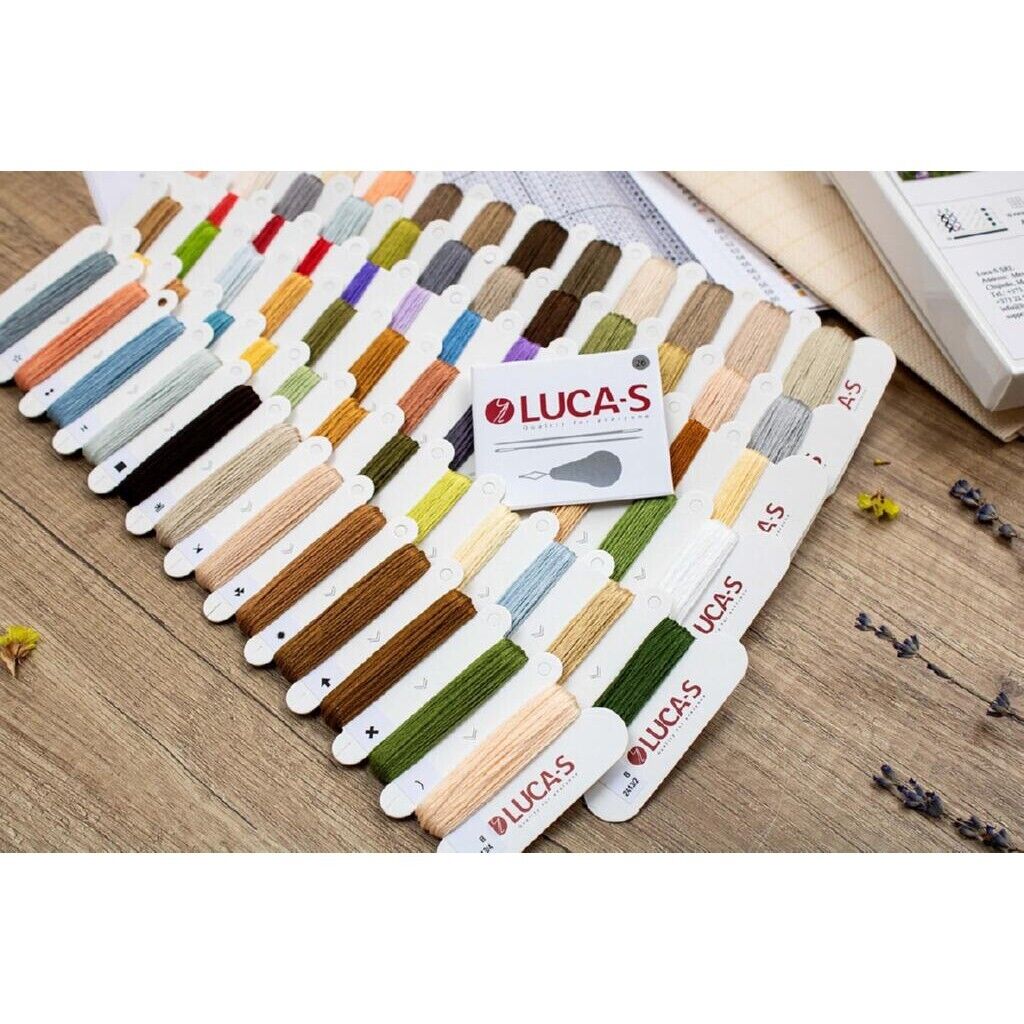 Counted Cross Stitch Kit Department store Luca-S DIY Unprinted canvas