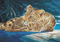 Bead Embroidery Kit Leopards DIY Beaded needlepoint Beaded stitching