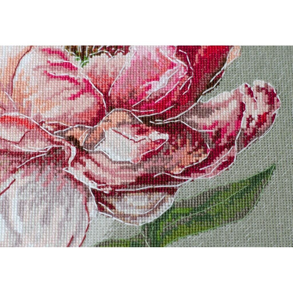 Counted Cross Stitch Kit Peony flower DIY Unprinted canvas