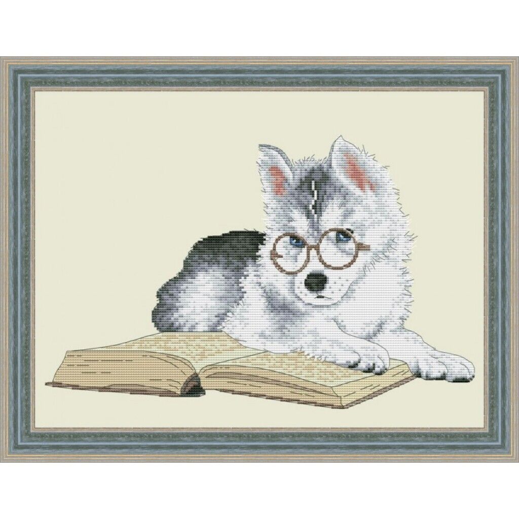 Counted Cross Stitch Kit Dog DIY Unprinted canvas