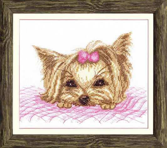 Counted Cross Stitch Kit Dog Yorkshire terrier DIY Unprinted canvas