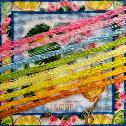 Tapestry Pillow Cover DIY kit "Lemons" Needlepoint kit Printed canvas