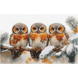 Counted Cross Stitch Kit Winter owls Luca-S DIY Unprinted canvas