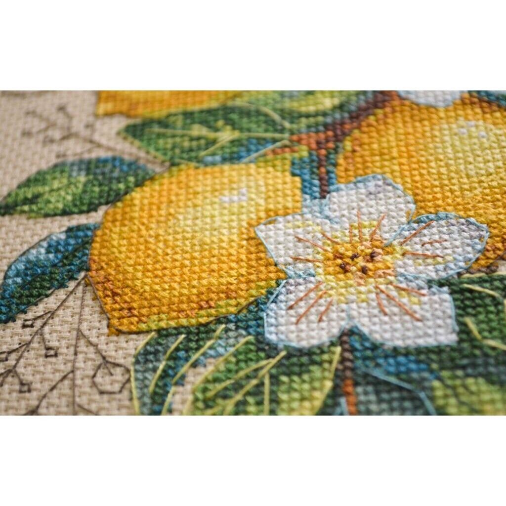 Counted Cross Stitch Kit Lemon DIY Unprinted canvas