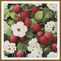 Counted Cross Stitch Kit Raspberry DIY Unprinted canvas