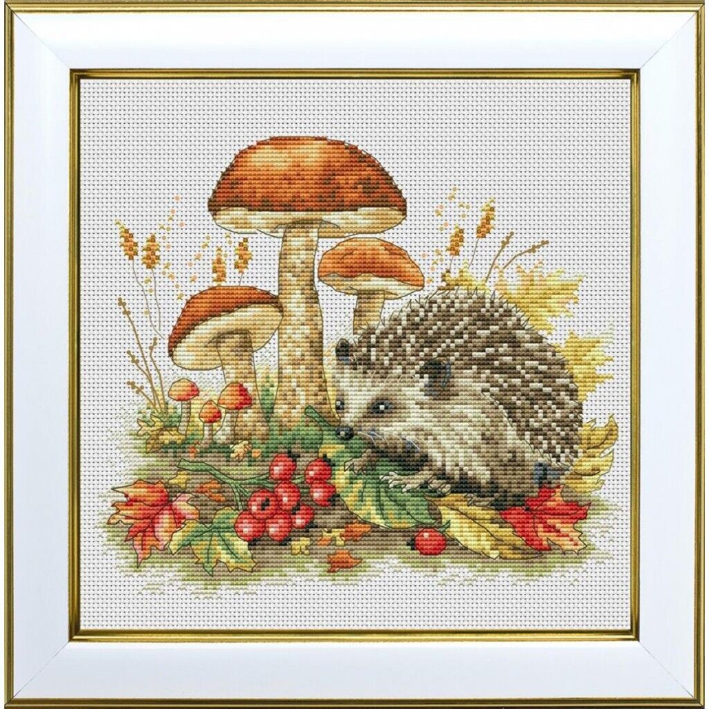 Counted Cross Stitch Kit Hedgehog DIY Unprinted canvas