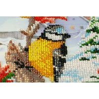 Bead Embroidery Kit Winter Birds Beaded stitching Bead needlepoint DIY