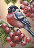 Bead Embroidery Kit Bullfinch DIY Bead needlepoint Bead stitching