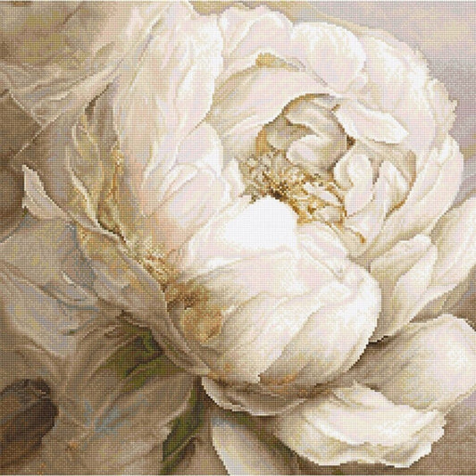 Counted Cross Stitch Kit Peony Flowers DIY Unprinted canvas