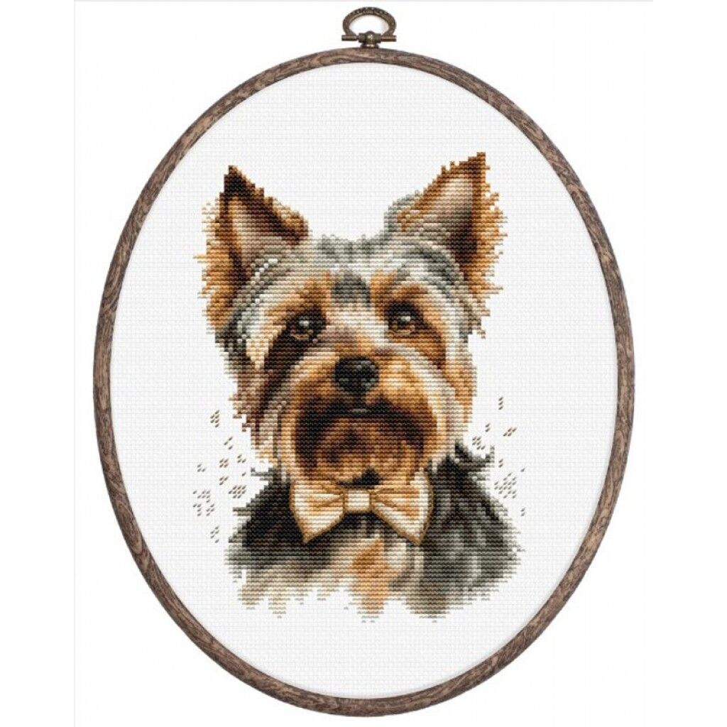 Counted Cross Stitch Kit Yorkshire terrier Dog Luca-S DIY Unprinted canvas