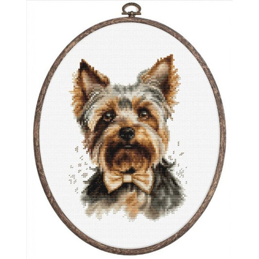 Counted Cross Stitch Kit Yorkshire terrier Dog Luca-S DIY Unprinted canvas