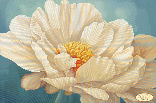 Full Bead Embroidery Kit Cream peony Flowers Bead needlepoint Bead stitching DIY