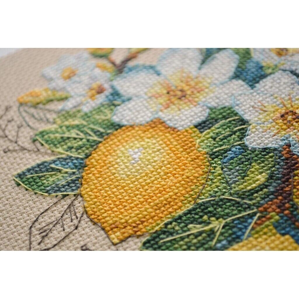 Counted Cross Stitch Kit Lemon DIY Unprinted canvas