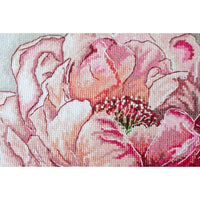 Counted Cross Stitch Kit Peony flower DIY Unprinted canvas