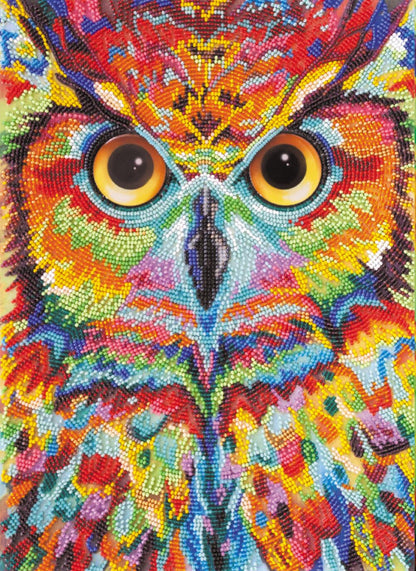 Bead Embroidery Kit Owl DIY Abris Art