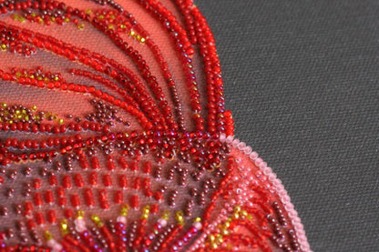 Bead Embroidery Kit Red fish DIY Abris Art