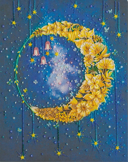 Bead Embroidery Kit Night DIY Abris Art
