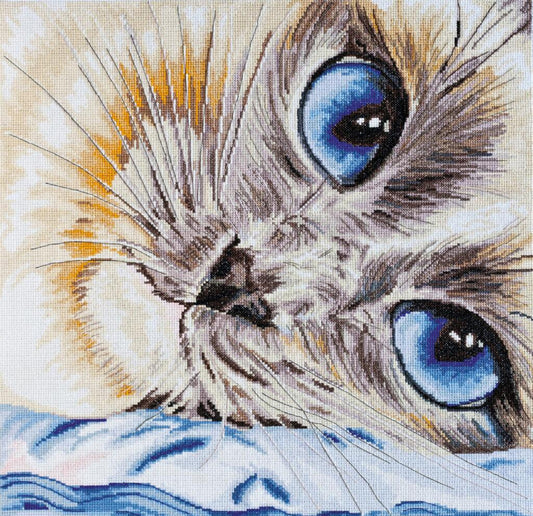 Counted Cross stitch kit Cat DIY Abris Art