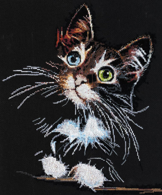 Counted Cross stitch kit Cat DIY Abris Art