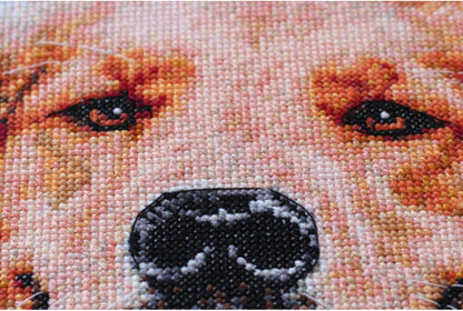 Counted Cross stitch kit "Dog" DIY by Abris Art