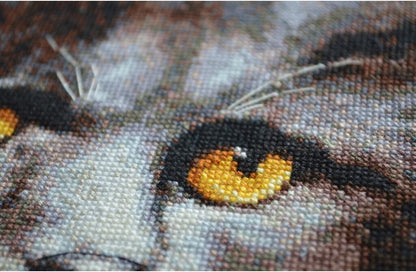Counted Cross Stitch Kit "Cat" DIY by Abris Art