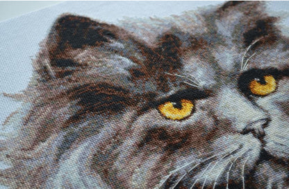 Counted Cross Stitch Kit "Cat" DIY by Abris Art