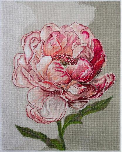 A counted cross stitch kit depicting a pink and red meadow flower on unprinted canvas.
