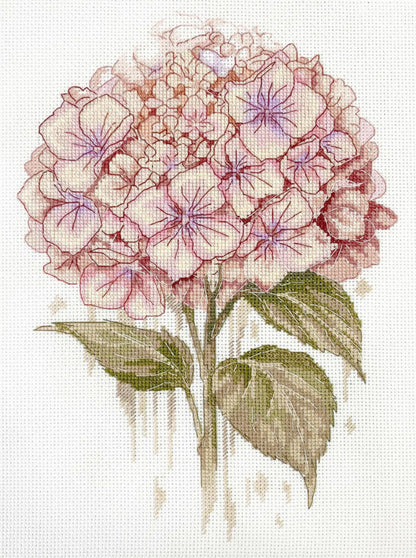 Stylized illustration of pink hydrangeas with green leaves on a white background